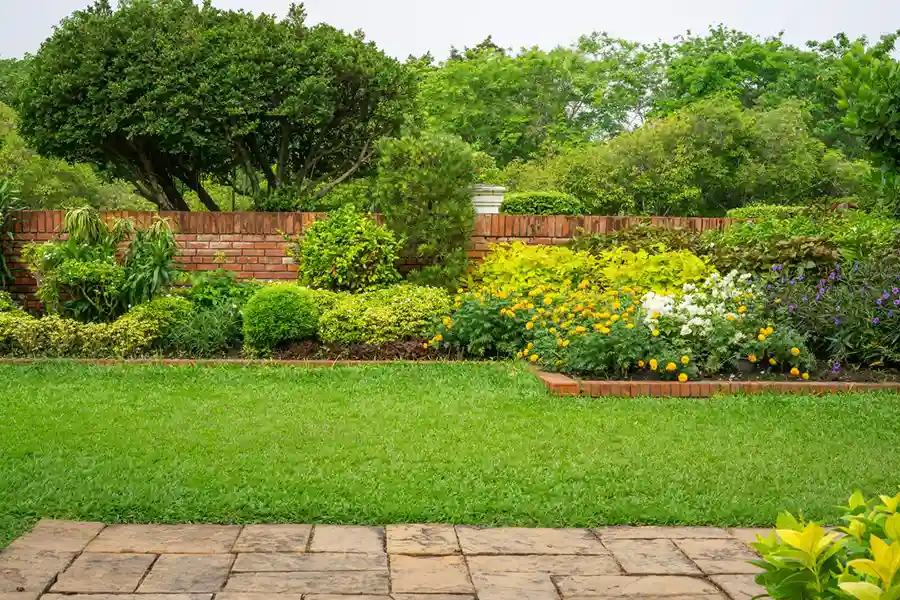 Reliable Landscaping Company in Katy, TX