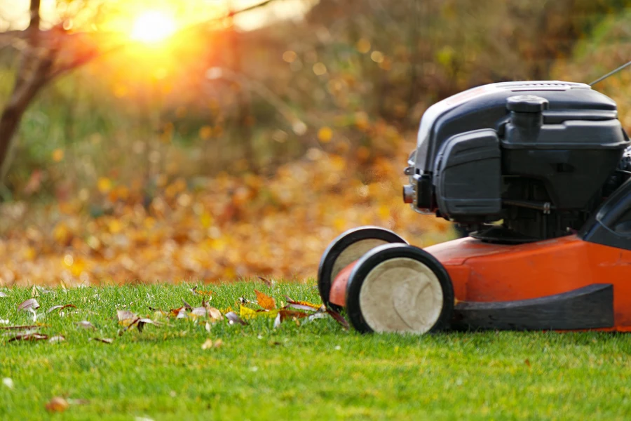 Boosting Curb Appeal With Expert Lawn Care Services in Katy, TX
