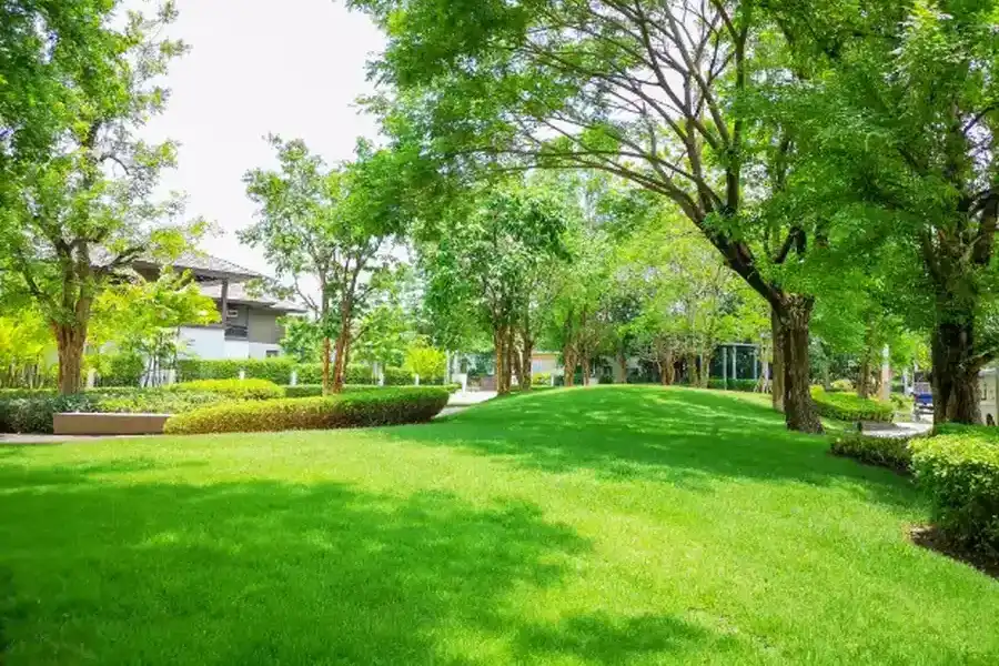 How Lawn Maintenance Enhances Curb Appeal And Value Katy, TX