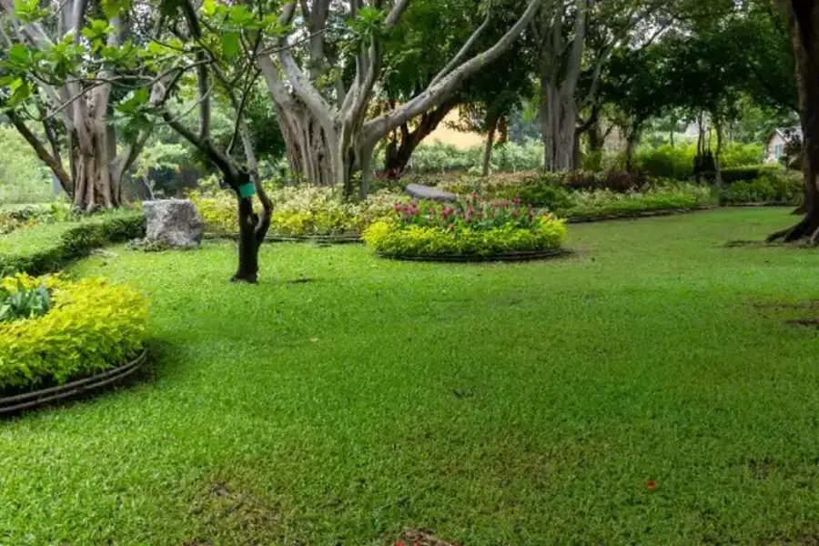 How To Create A Lawn Maintenance Schedule That Works Katy, TX