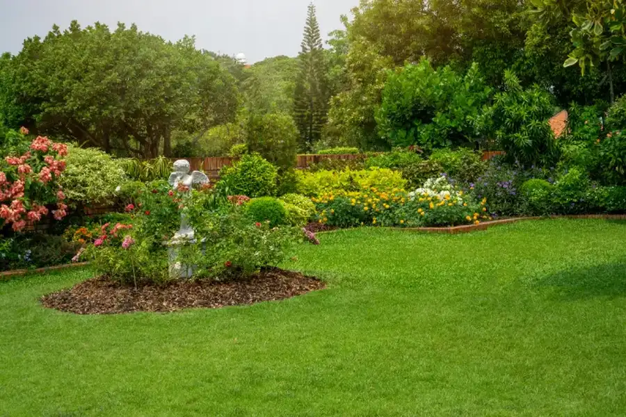How To Create A Lawn Maintenance Schedule That Works in Katy, TX