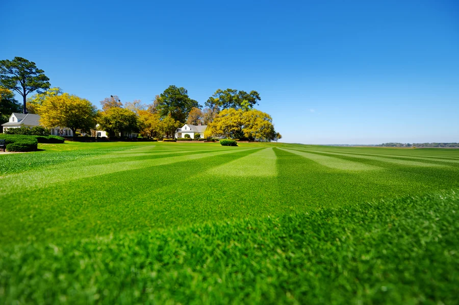 Maximizing Client Satisfaction With Expert Lawn Care in Katy, TX