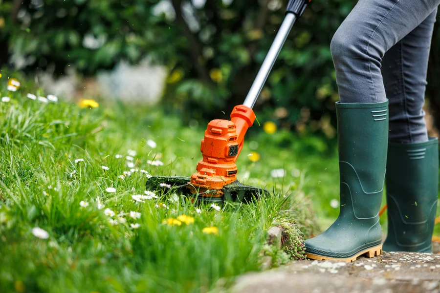 Professional Lawn Care Katy, TX