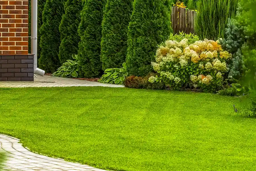 Quality Lawn Care Katy, TX