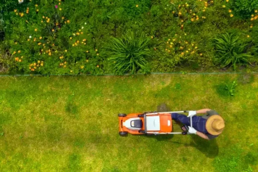 Reliable Lawn Maintenance Katy, TX