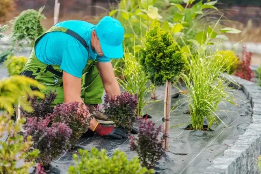 Superior Lawn Maintenance Katy, TX