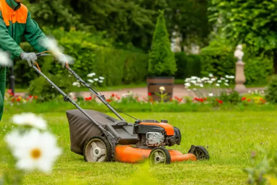 Top-rated Lawn Maintenance Katy, TX